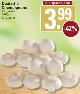 WEZ Deutsche Champignons Angebot