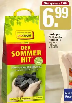 WEZ proFagus Grillis oder Holzkohle Angebot