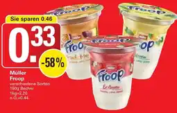 WEZ Müller Froop Angebot