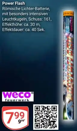 Globus Weco Power Flash Angebot