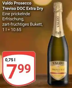 Globus Valdo Prosecco Treviso DOC Extra Dry Angebot