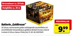 Hagebau NICO Batterie ,,Goldtresor" Angebot