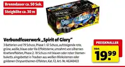 Hagebau NICO Verbundfeuerwerk ,,Spirit of Glory" Angebot