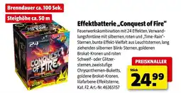 Hagebau NICO Effektbatterie ,,Conquest of Fire" Angebot
