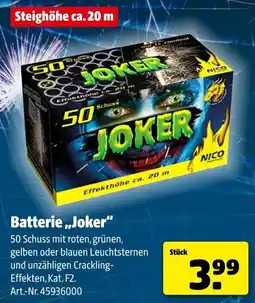 Hagebau NICO Batterie ,,Joker" Angebot