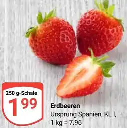 Globus Erdbeeren Angebot