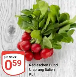 Globus Radieschen Bund Angebot