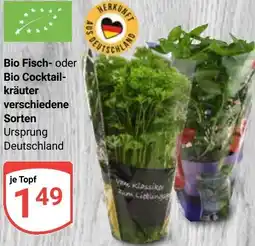 Globus Bio Fisch- oder Bio Cocktailkräuter Angebot