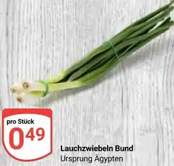 Globus Lauchzwiebeln Bund Angebot