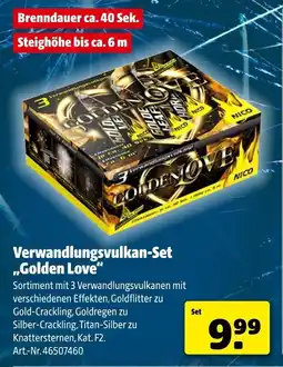 Hagebau NICO Verwandlungsvulkan-Set ,,Golden Love" Angebot