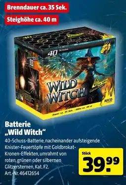 Hagebau NICO Batterie ,,Wild Witch" Angebot