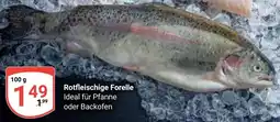 Globus Rotfleischige Forelle Angebot