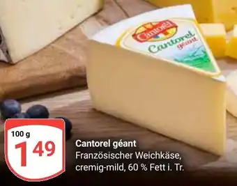 Globus Cantorel géant Angebot