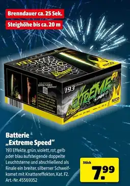 Hagebau NICO Batterie ,,Extreme Speed" Angebot