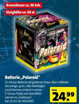 Hagebau NICO Batterie ,,Polaroid" Angebot