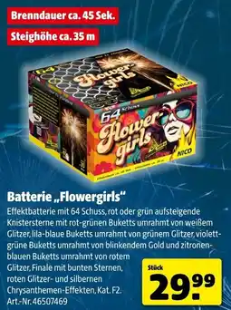 Hagebau NICO Batterie ,,Flowergirls" Angebot