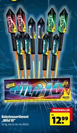 Hagebau NICO Raketensortiment ,,Wild 10" Angebot