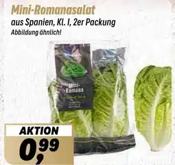 Simmel Mini-Romanasalat Angebot