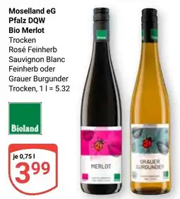 Globus Moselland eG Pfalz DQW Bio Merlot Angebot