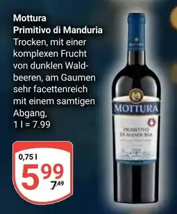 Globus Mottura Primitivo di Manduria Angebot