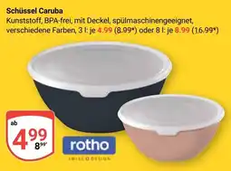 Globus Schüssel Caruba rotho Angebot
