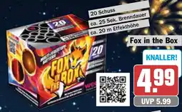 AEZ Fox in the Box Angebot