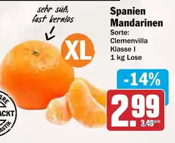 AEZ Spanien Mandarinen Angebot