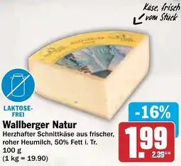 AEZ Wallberger Natur Angebot