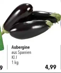 CITTI Markt Aubergine Angebot
