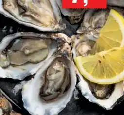 Handelshof Austern Fines de Claires Angebot