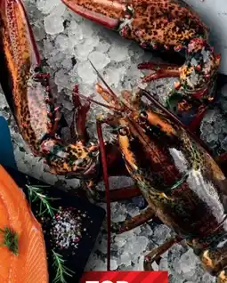 Handelshof Hummer High Pressure Lobster Angebot