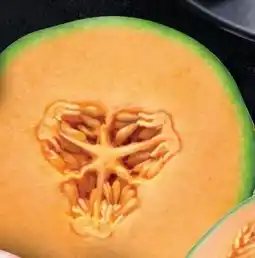Handelshof Cantaloupemelonen Angebot