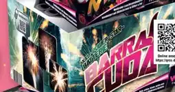 Handelshof Weco Feuerwerk Batterie Barracuda Angebot