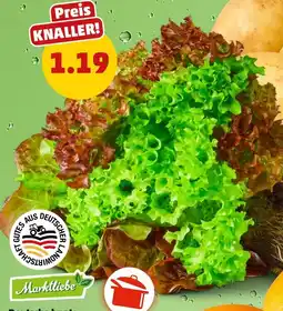 PENNY Marktliebe Deutsche bunte Salate mit Wurzel Angebot