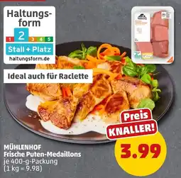 PENNY MÜHLENHOF Frische Puten-Medaillons Angebot