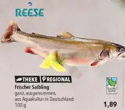 CITTI Markt REESE Frischer Saibling Angebot