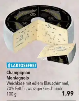 CITTI Markt Champignon Montagnolo Angebot