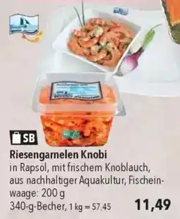 CITTI Markt Riesengarnelen Knobi Angebot