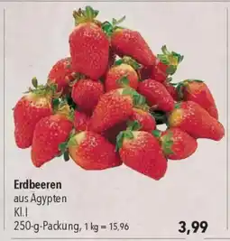 CITTI Markt Erdbeeren Angebot
