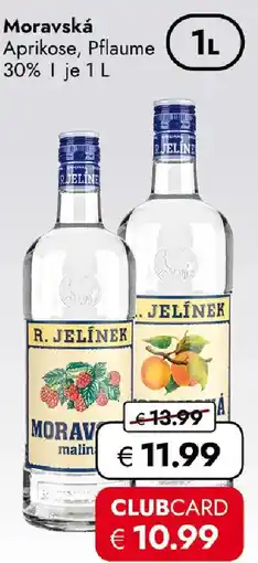 Travel Free Moravská Aprikose, Pflaume Angebot