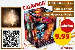 PENNY Weco calavera Angebot
