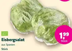 Biomarkt Eisbergsalat Angebot