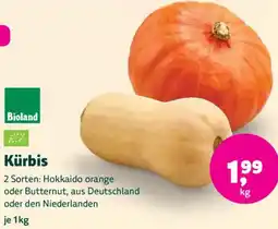 Biomarkt Bioland Kürbis Angebot
