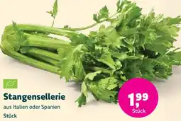 Biomarkt Stangensellerie Angebot