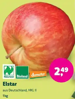 Biomarkt Elstar Angebot