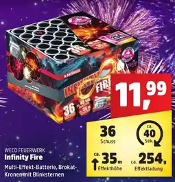 Thomas Philipps WECO FEUERWERK Infinity Fire Angebot