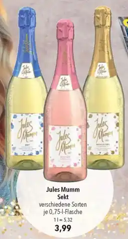 CITTI Markt Jules Mumm Sekt Angebot