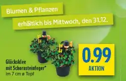 diska Glücksklee mit Schornsteinfeger Angebot