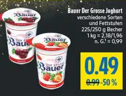 diska Bauer Der Grosse Joghurt Angebot