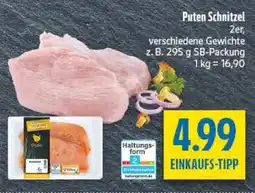 diska Puten Schnitzel 2er Angebot